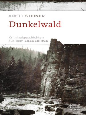 cover image of Dunkelwald